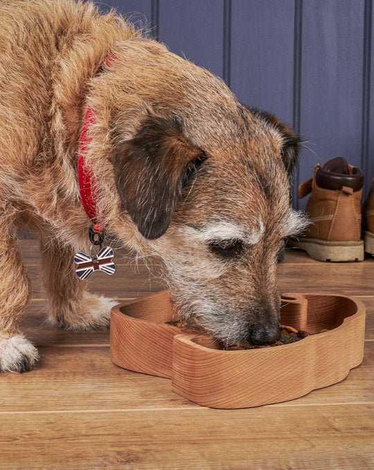 THE WOOD LIFE PROJECT WOODEN DOG BOWL The Dog Bowl - Dining For Dogs The Dog Bowl | Dining For Dogs | 3133